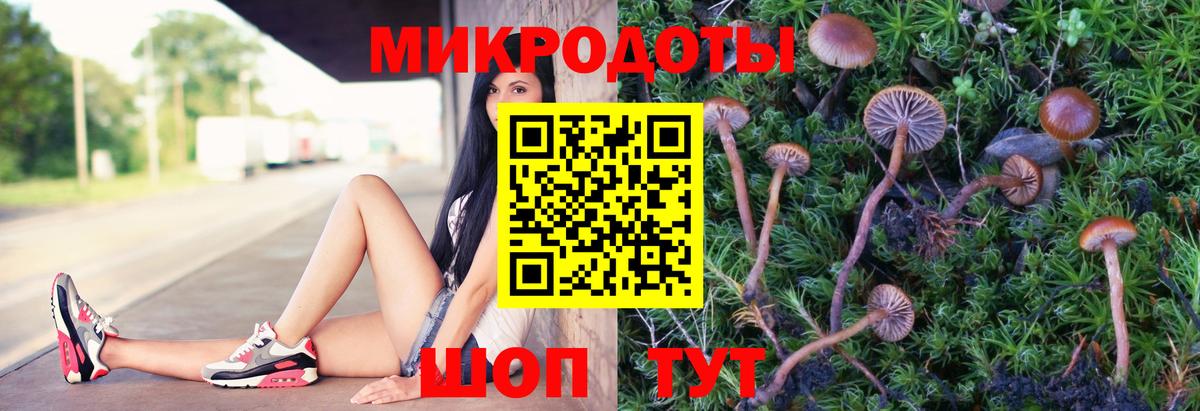 Галлюциногенные грибы мухоморы  Галлюциногенные грибы Psilocybe  Благодарный  Вход с VPN 