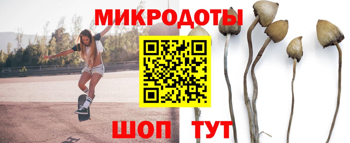 Псилоцибиновые грибы мухоморы Благодарный